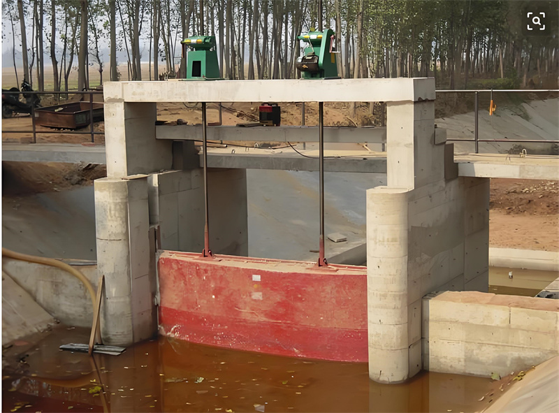 �p���c�l�T���]�C